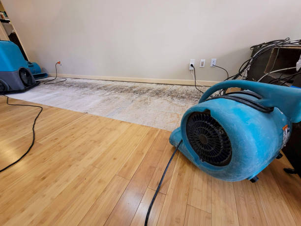 Professional Basement Flood Cleanup technician working in Carnation, WA